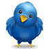 Follow us on twitter